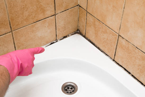 Best Toxic Mold Removal  in Devon, PA